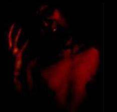 Through Tormet + Torture